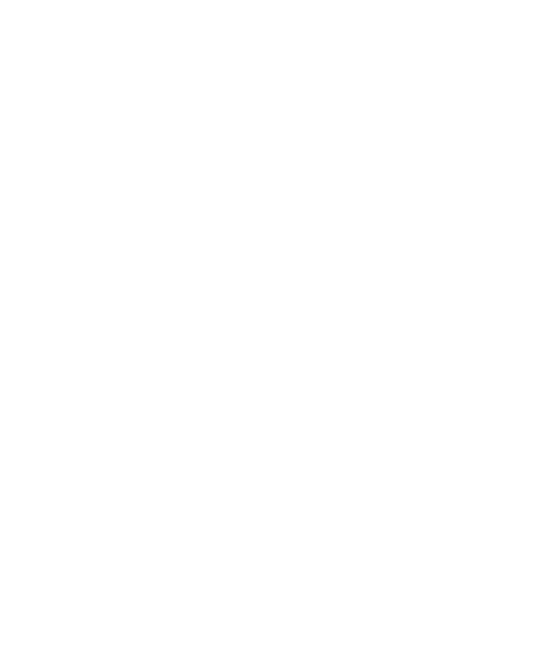 Team Leader